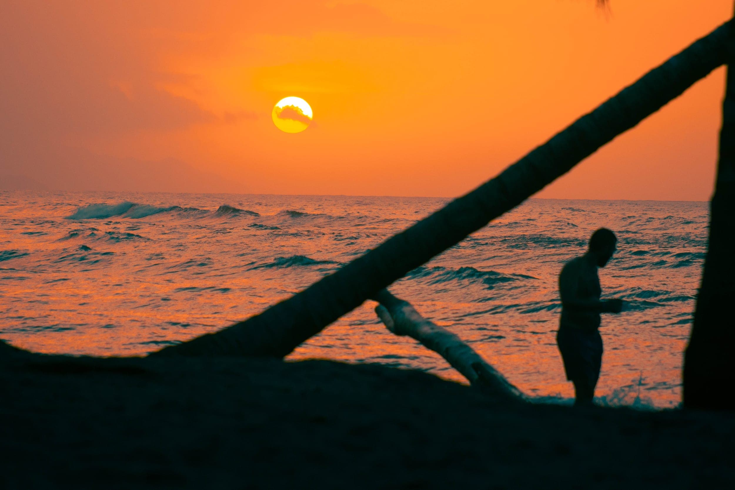 Silhouetted man standing by leaning palm trunks on the beach at a fiery orange sunset over the sea