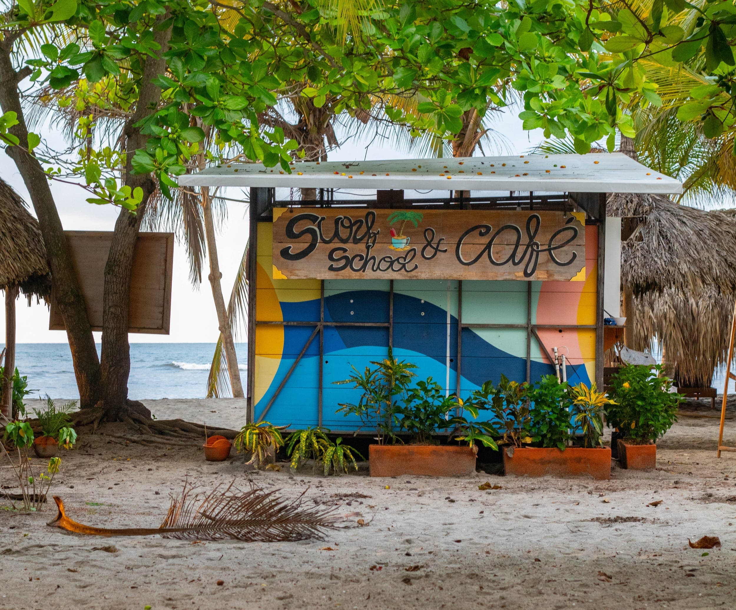 Colourful beachfront surf school and cafe hut shaded by trees beside the ocean