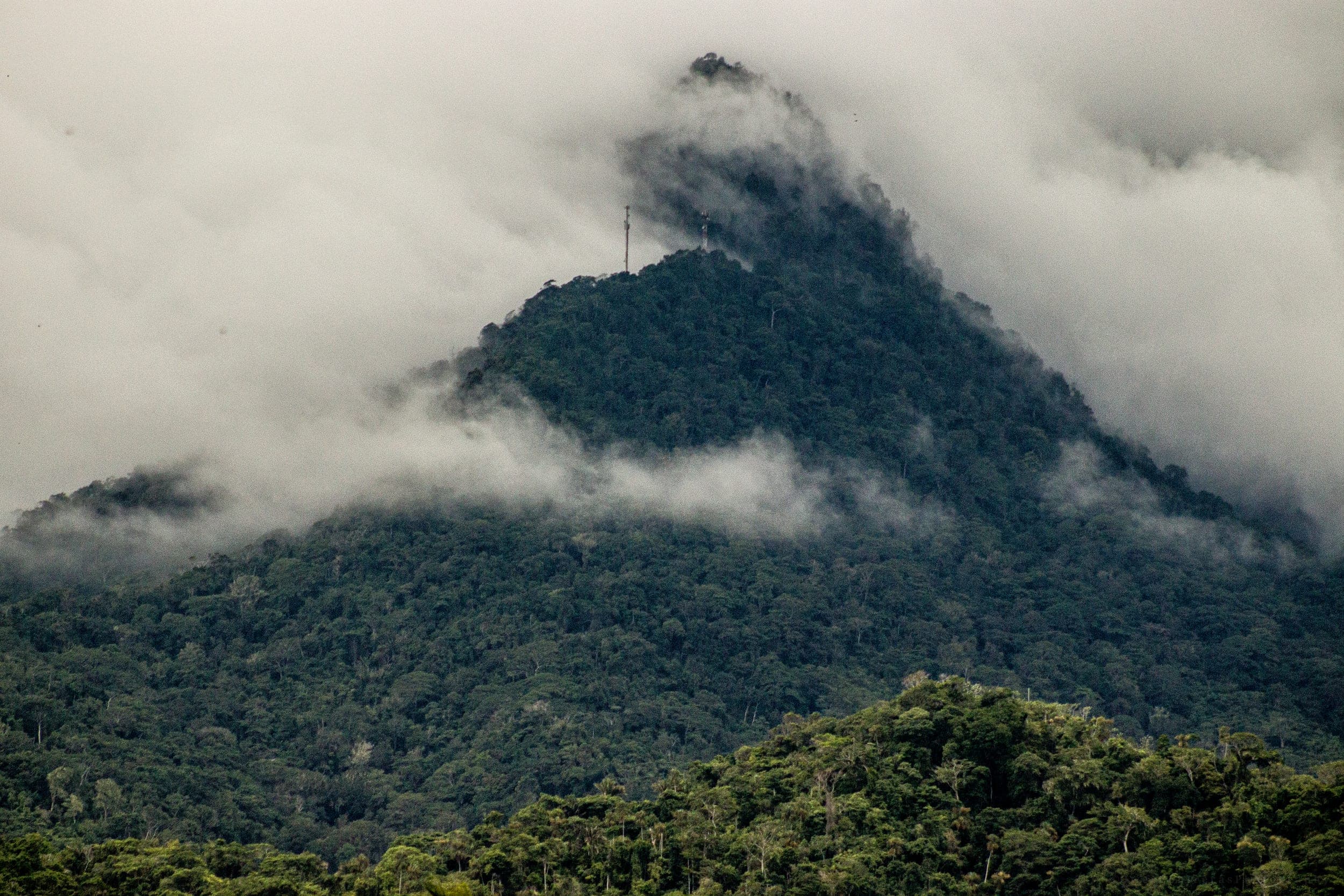 Cloud-shrouded jungle mountain peak rising above dense green rainforest