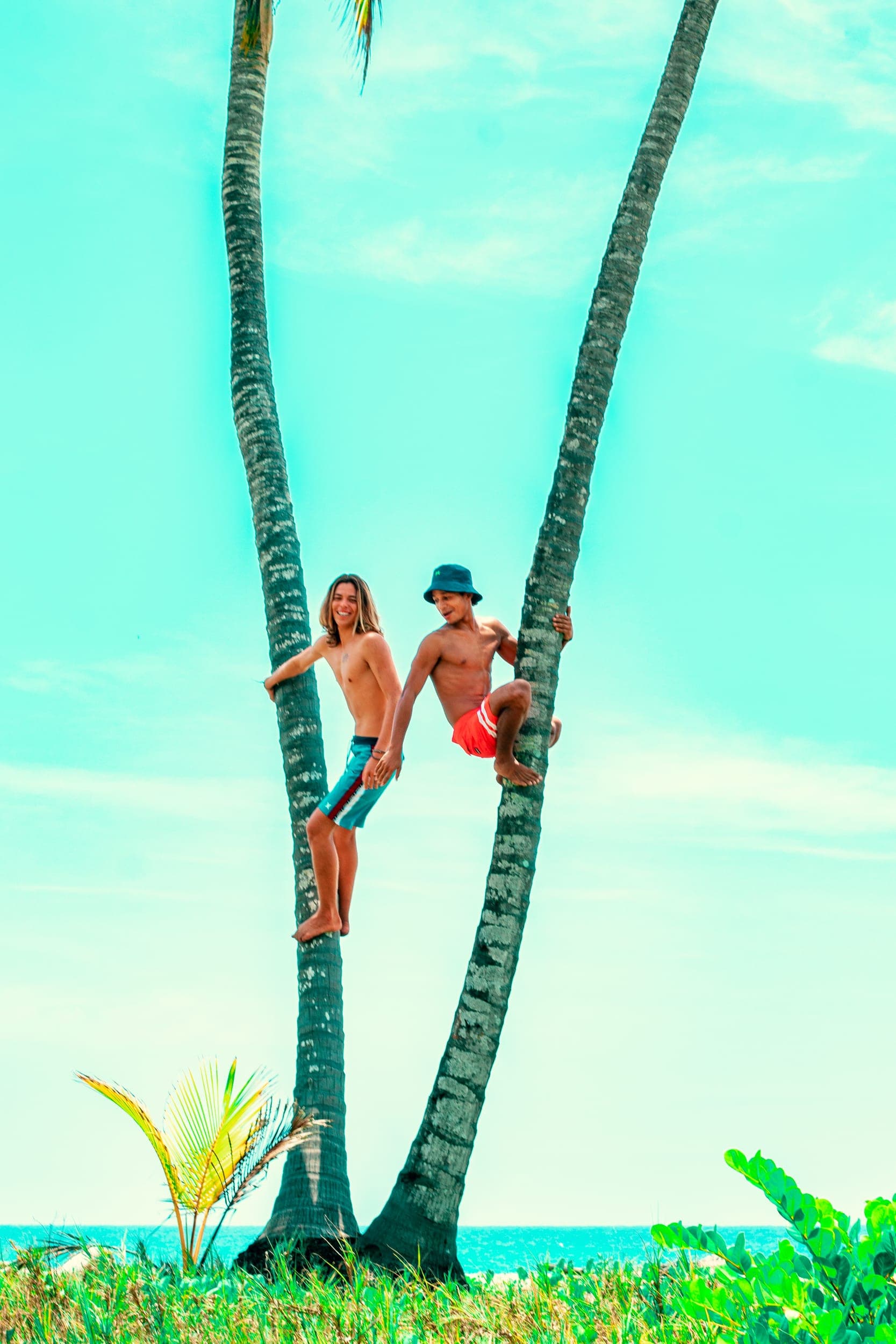 Two young men climbing tall twin palm trees above the sea against a vivid turquoise sky