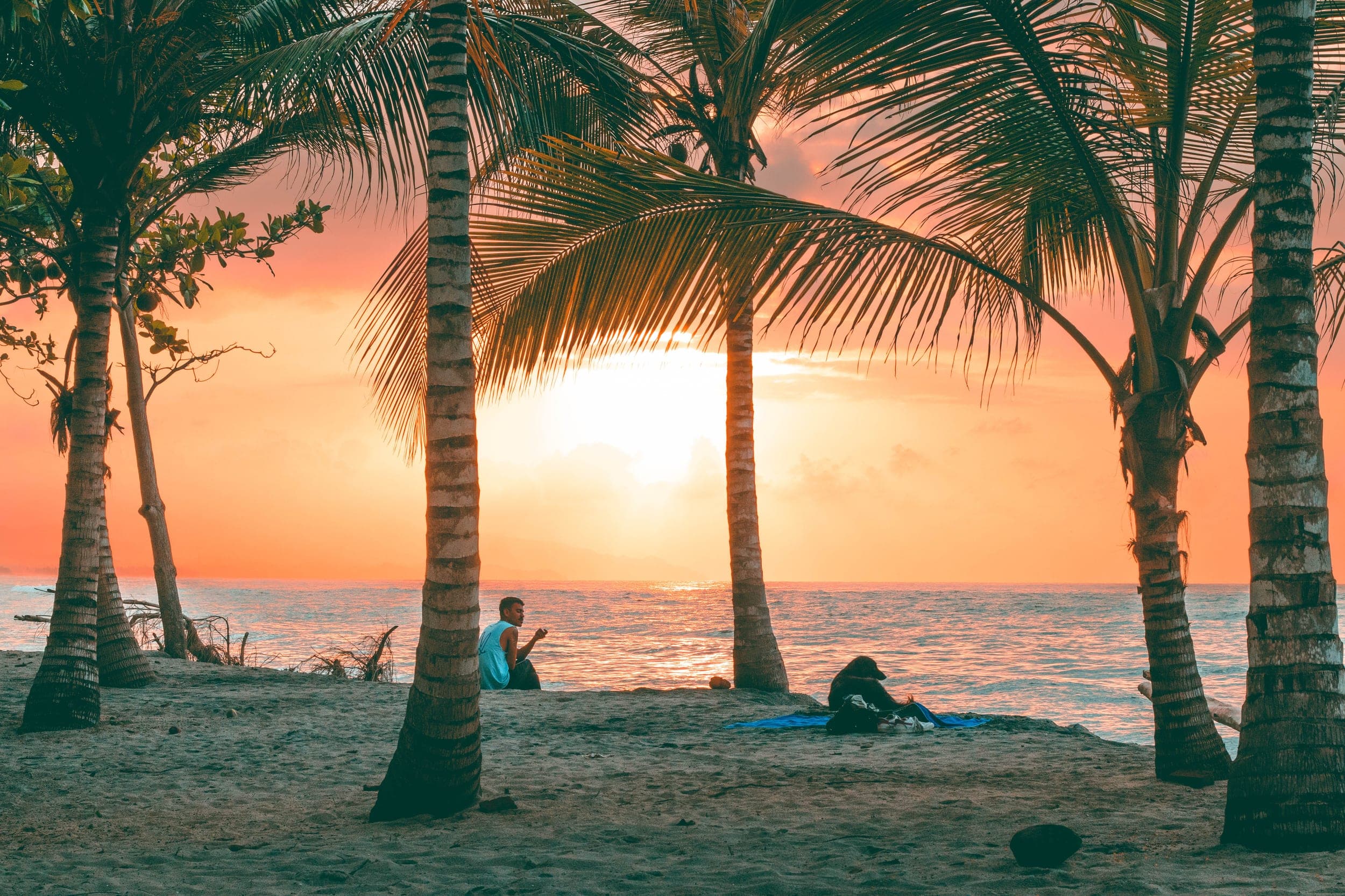 Man sitting with a dog on the sand between palm trees watching a glowing orange sunset over the sea