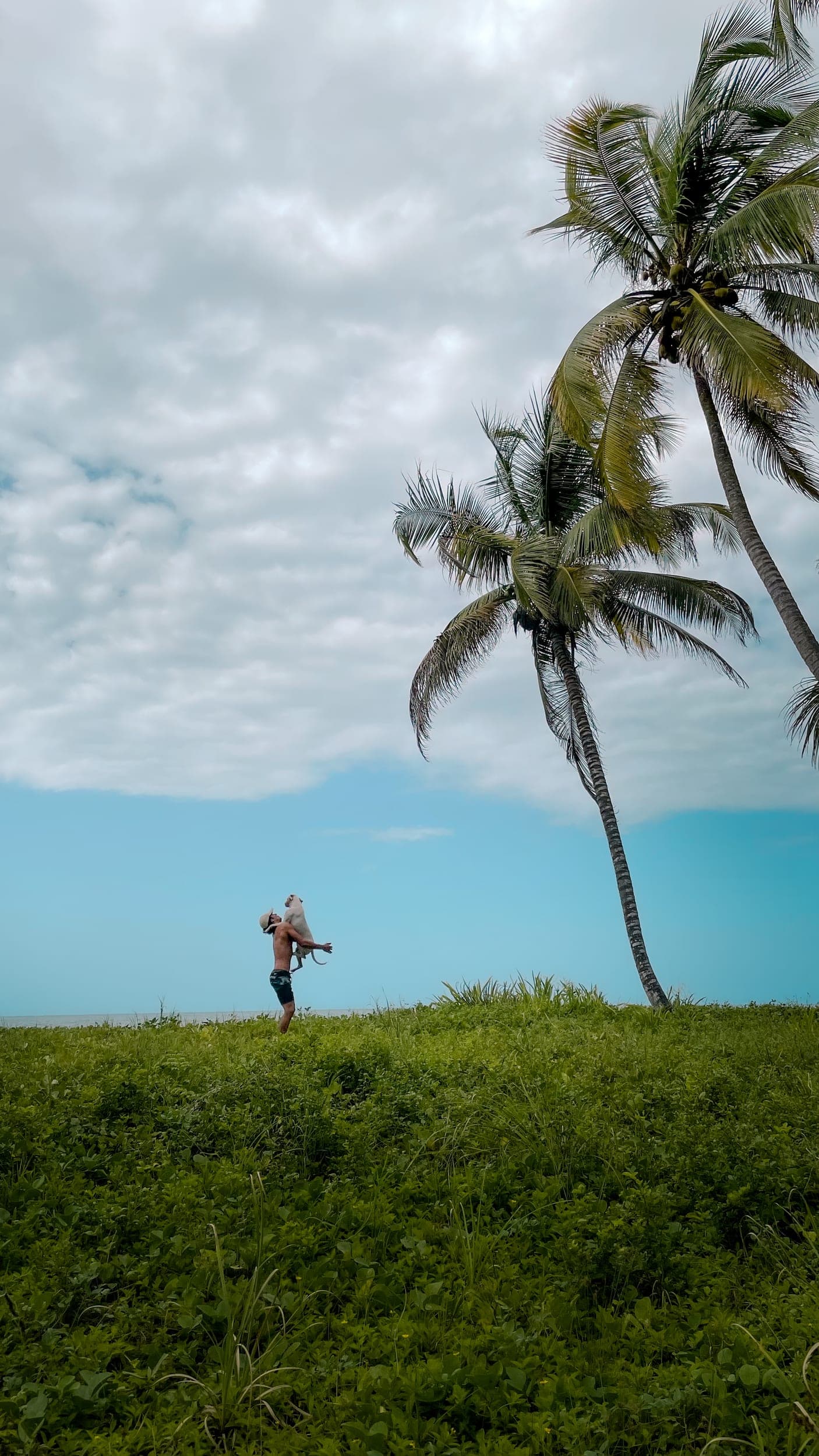 Shirtless man lifting a small dog toward a tall palm tree on a grassy coastal bluff