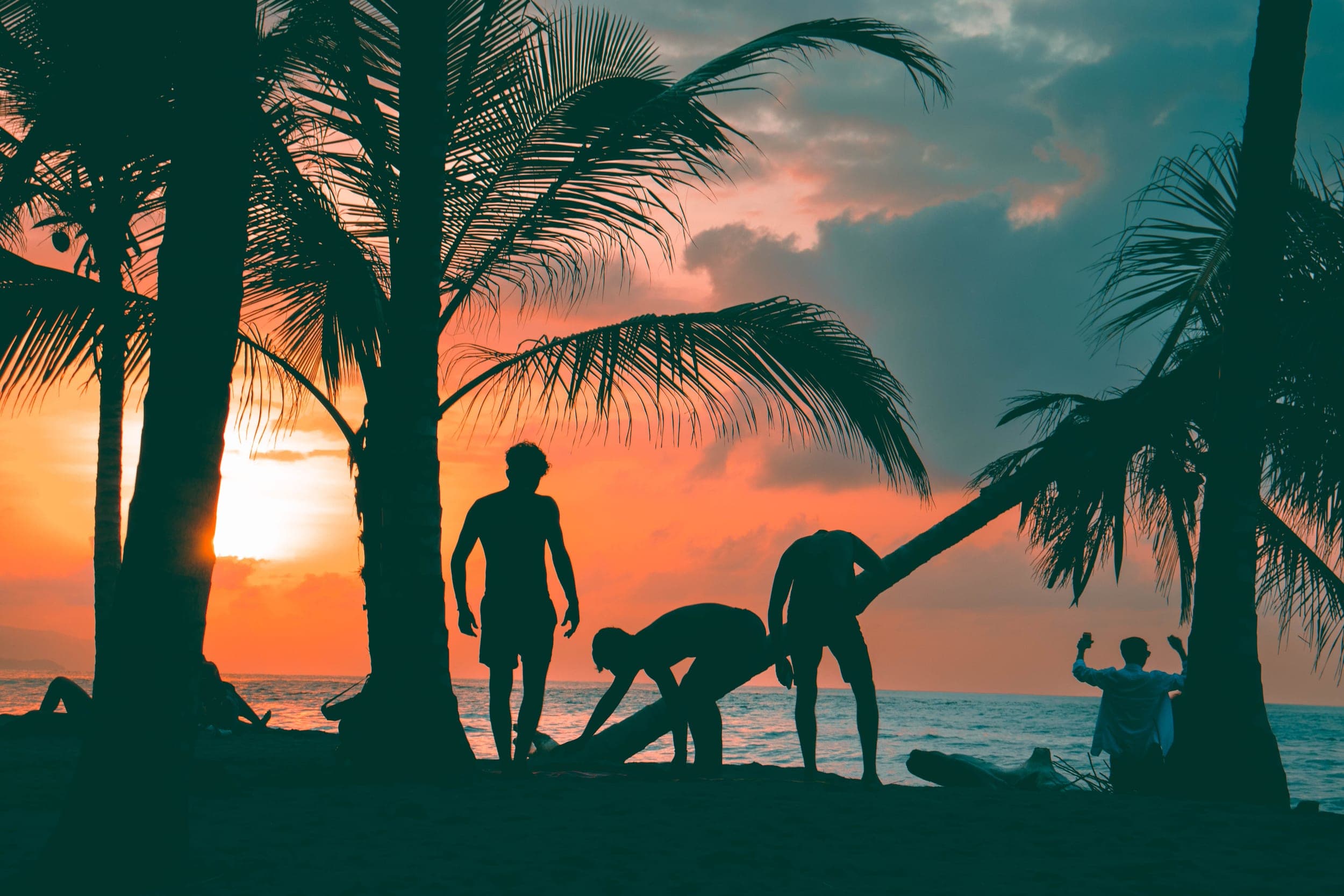 Friends silhouetted among palm trees on the beach at a vivid orange sunset