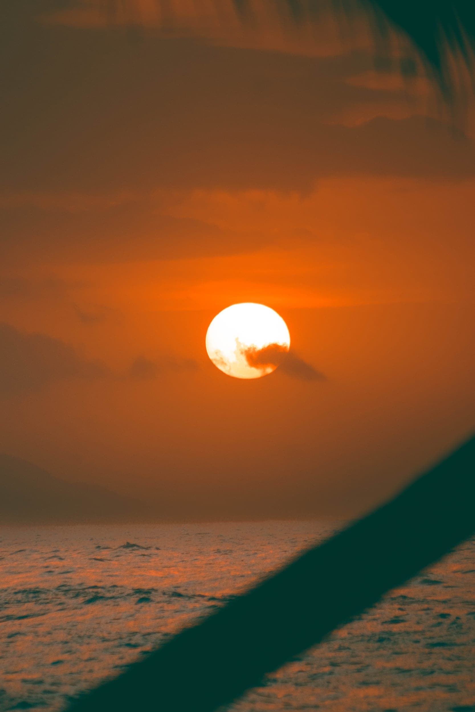Glowing sun setting over the ocean framed by a silhouetted palm frond