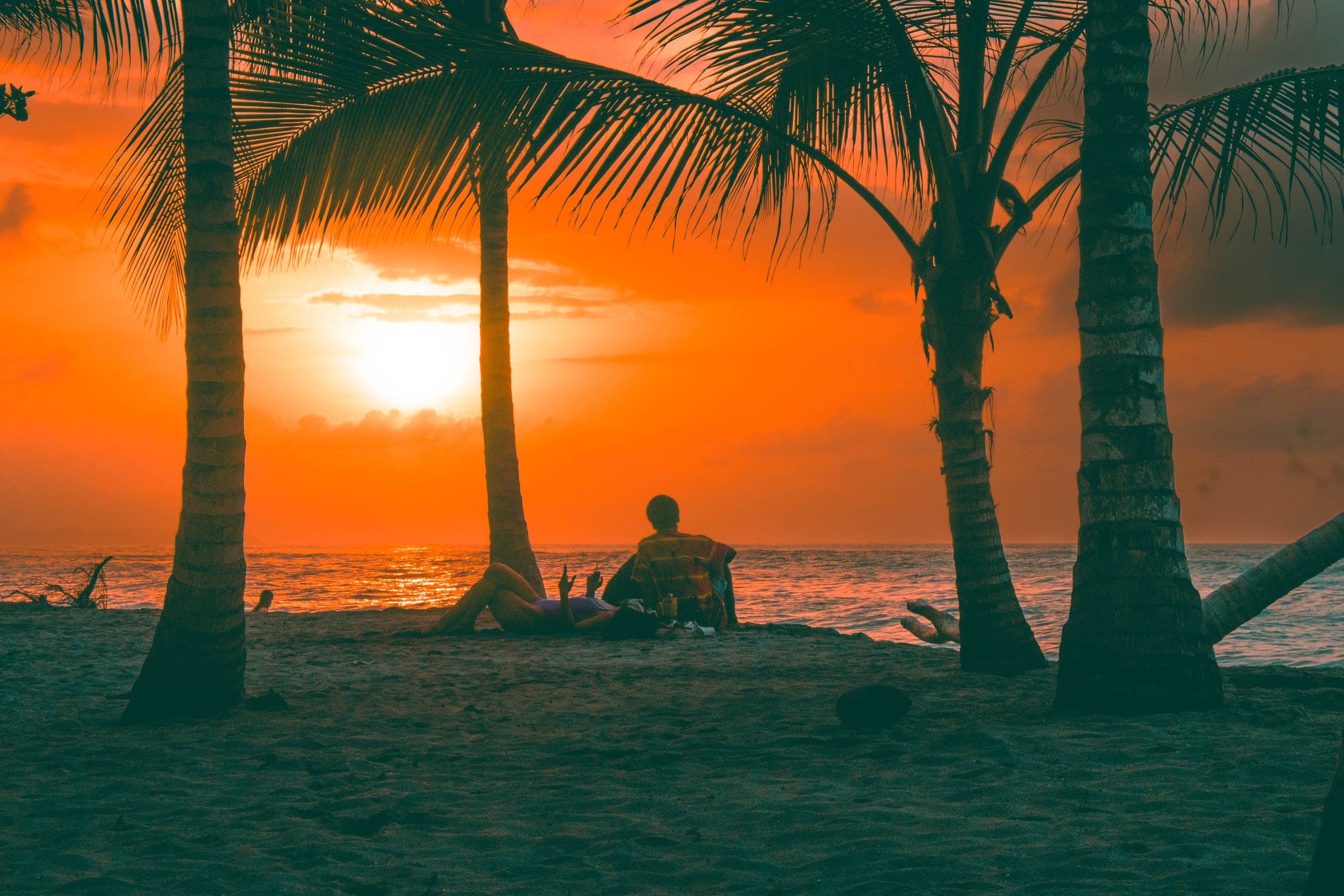 Couple relaxing on the sand between palm trees watching a blazing orange ocean sunset