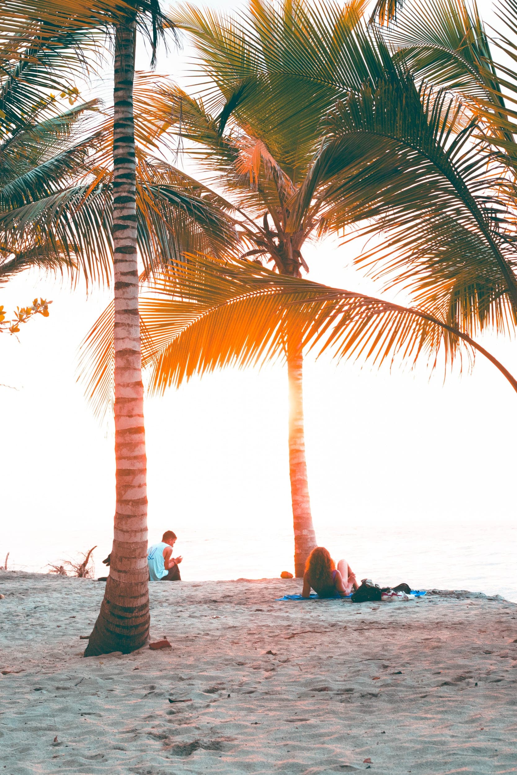 Couple relaxing on the sand between two tall palm trees at golden-hour on a tropical beach