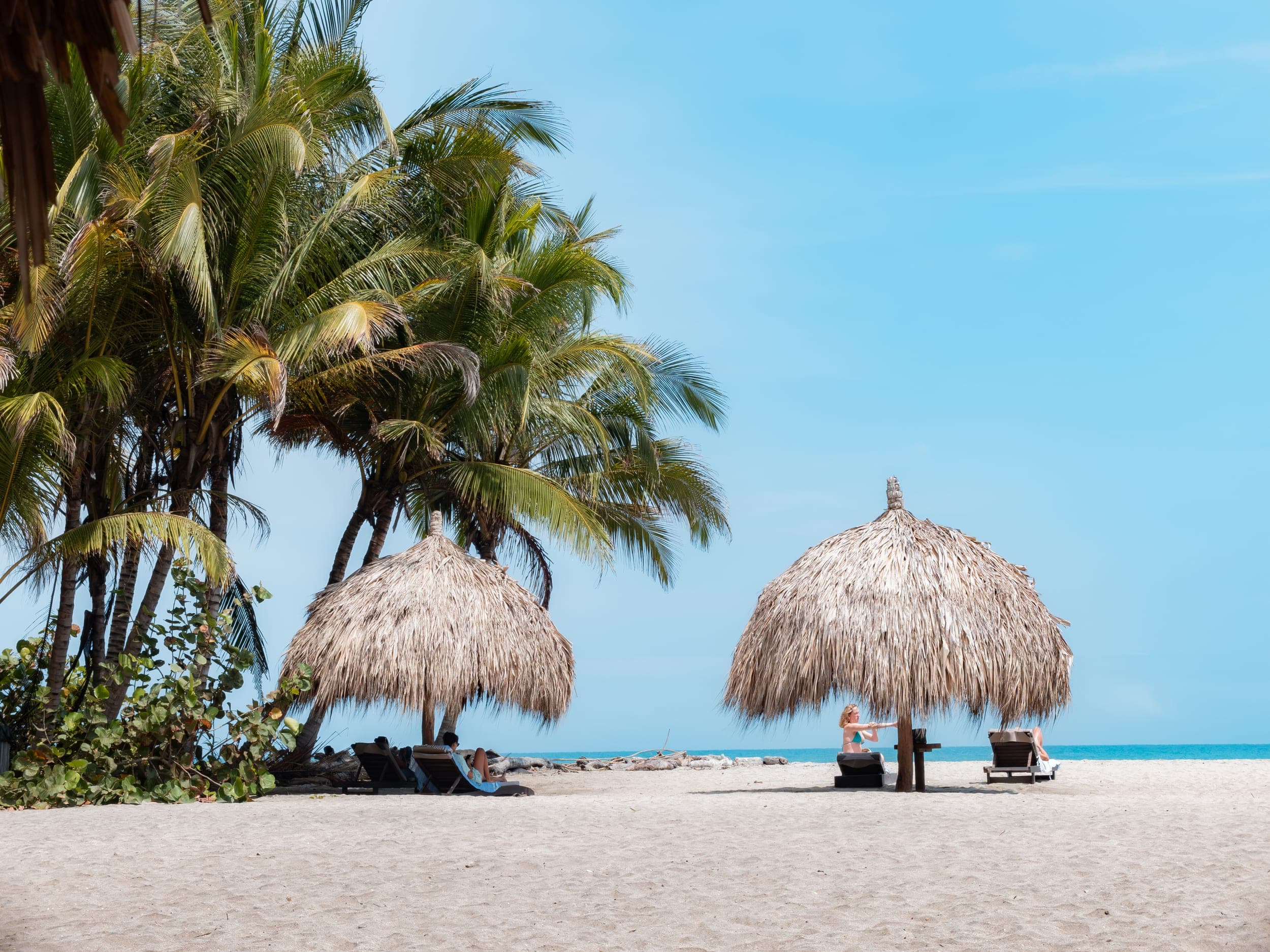 People relaxing on loungers under thatched umbrellas by palm trees on a tropical beach