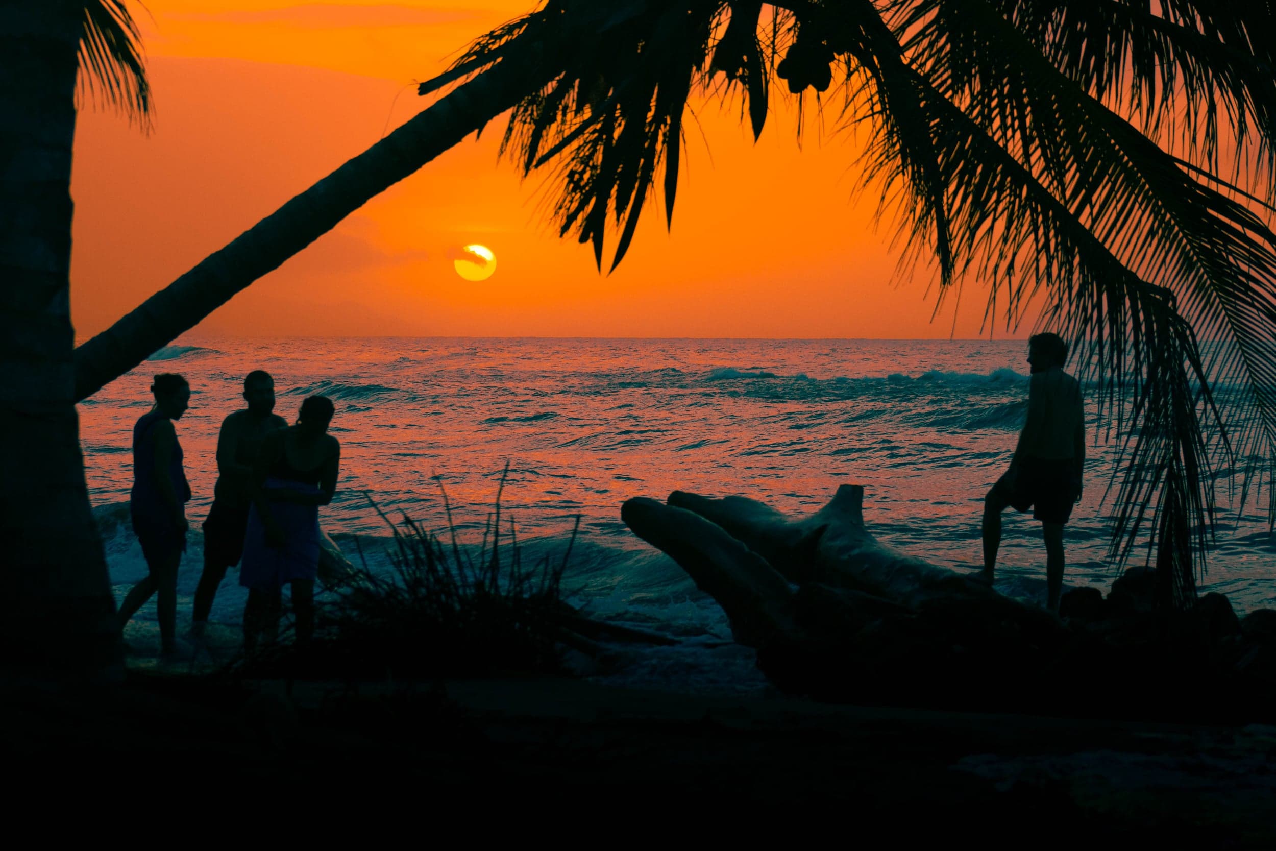 Friends silhouetted on the beach beneath palm fronds at a blazing orange sunset
