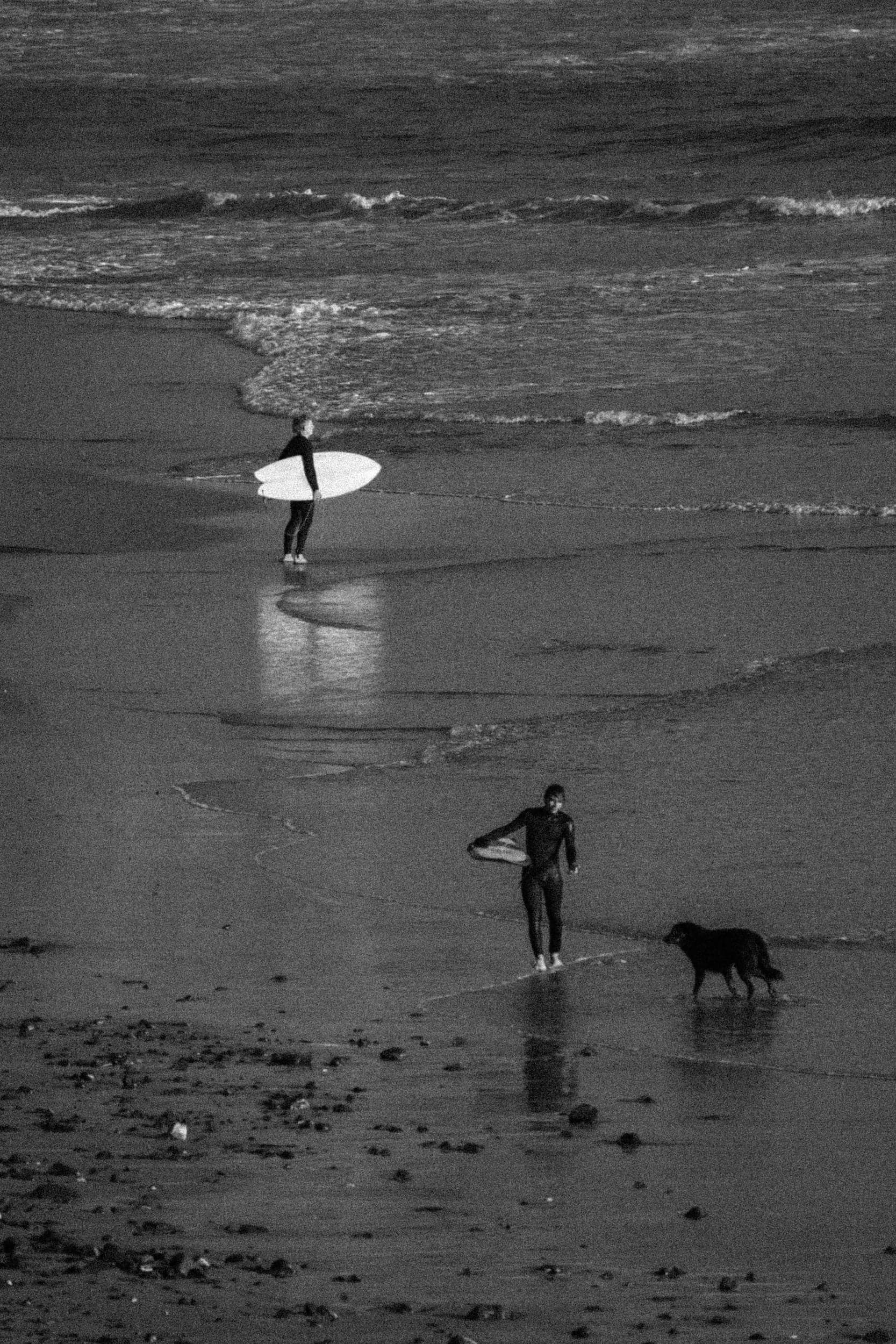 Black-and-white beach scene with two surfers and a dog at the shoreline