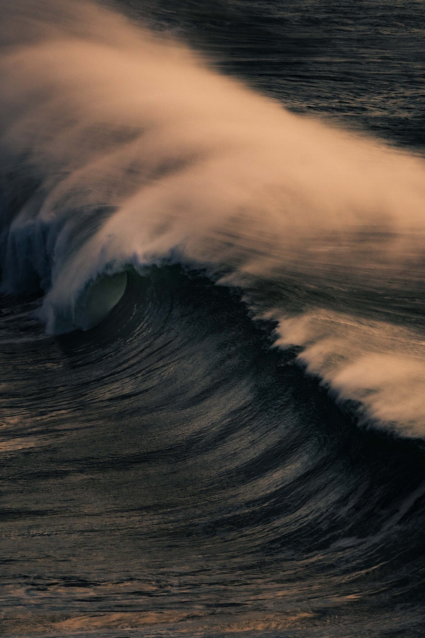 Curling wave with fine spray blowing off its crest in warm evening light