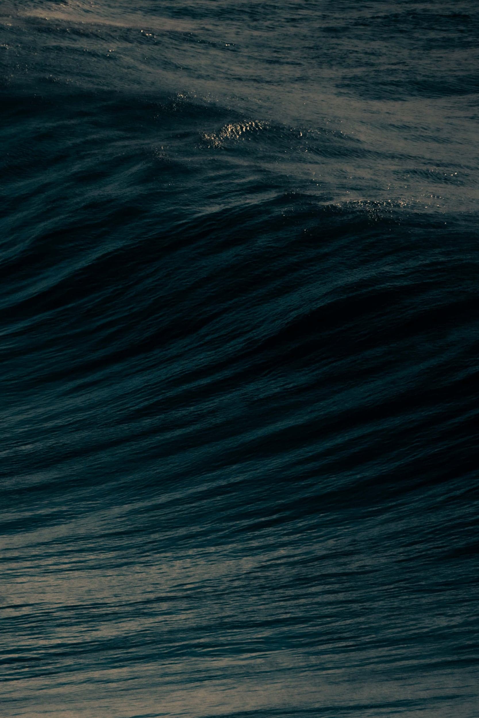 Moody close-up of a dark blue wave curling, warm light catching the water