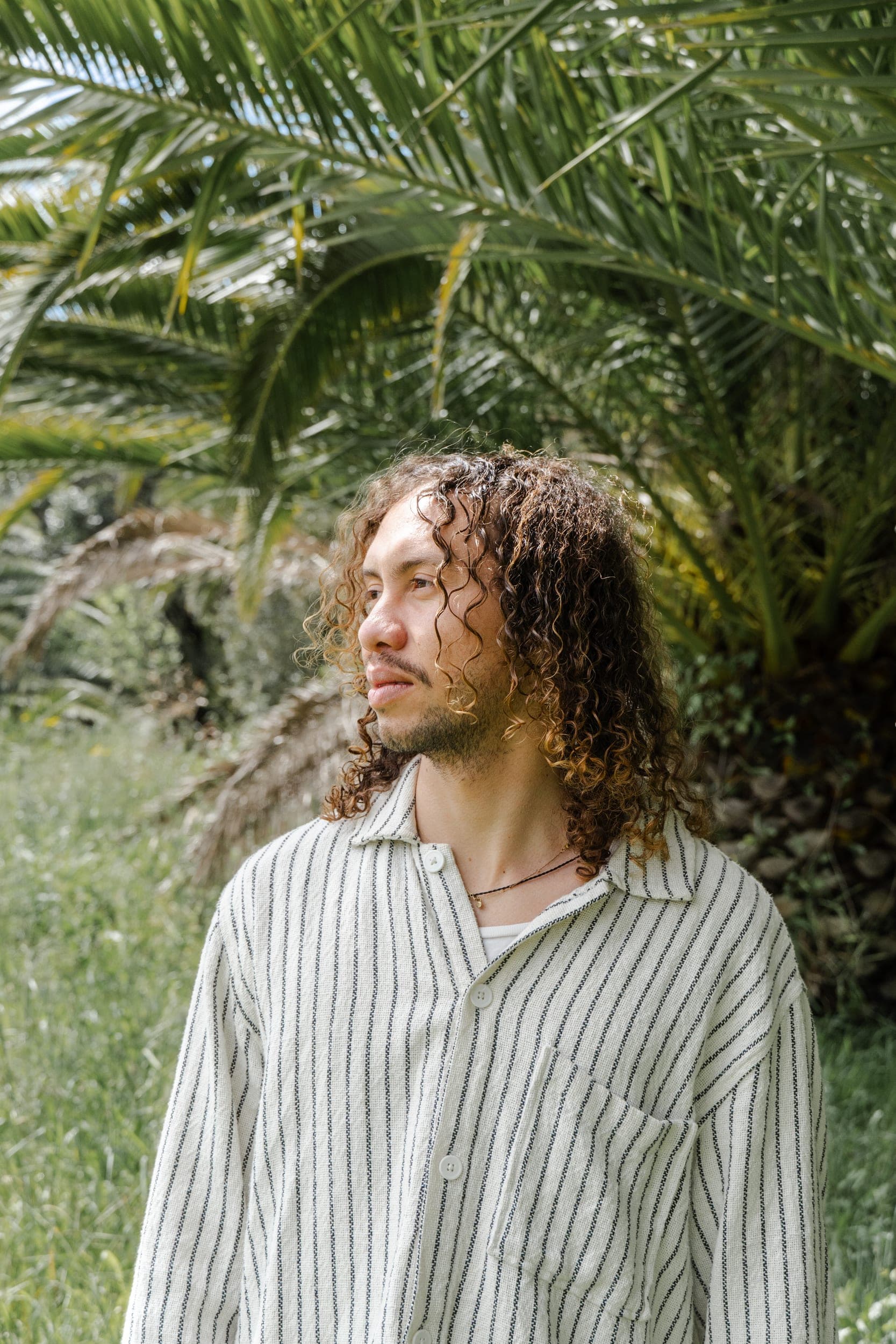 The photographer in a striped shirt looking to the side beneath a large palm