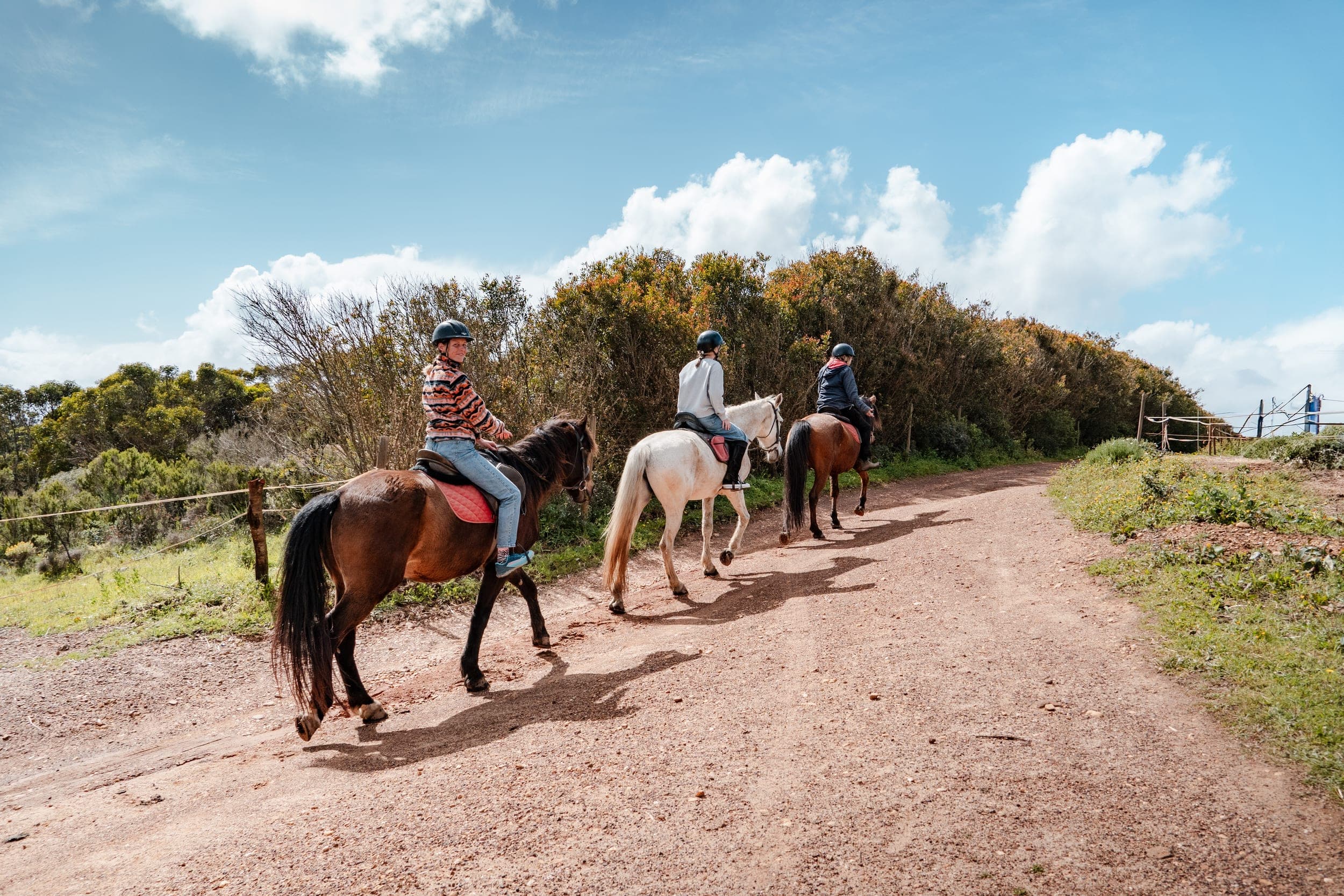 Three helmeted riders on horseback along a red dirt trail through coastal scrubland
