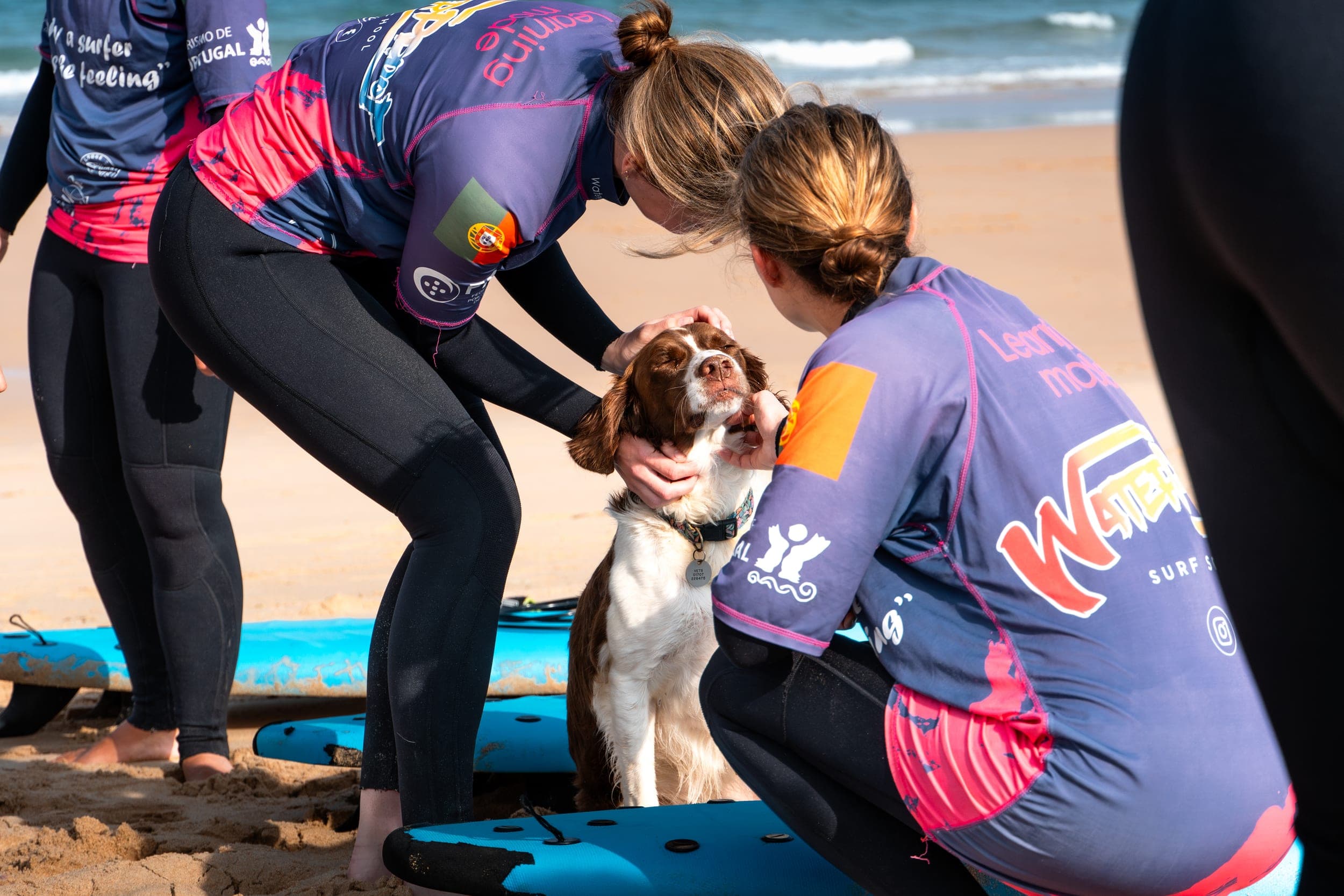 Two women in wetsuits crouching to pet a spaniel dog on a sandy surf beach