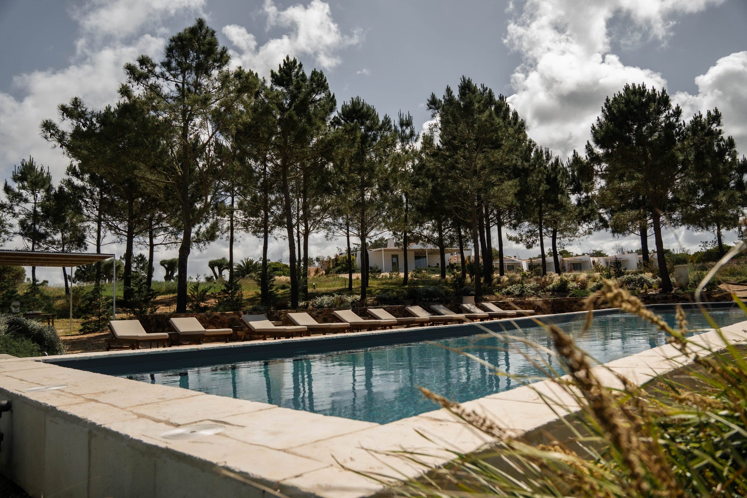 Long lap pool lined with sun loungers below tall pine trees under a cloudy sky
