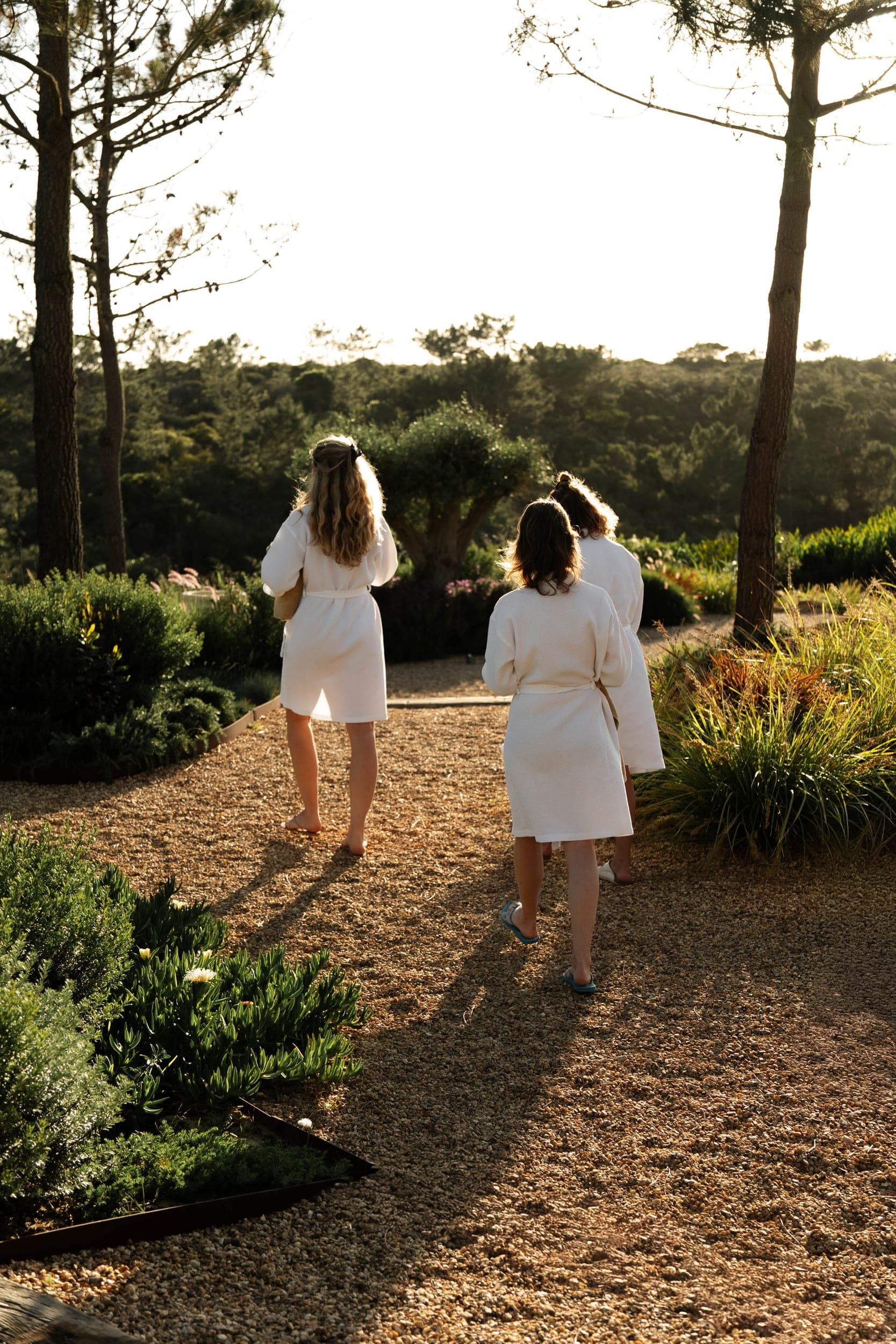 Three women in white robes walking away along a gravel garden path in warm evening light