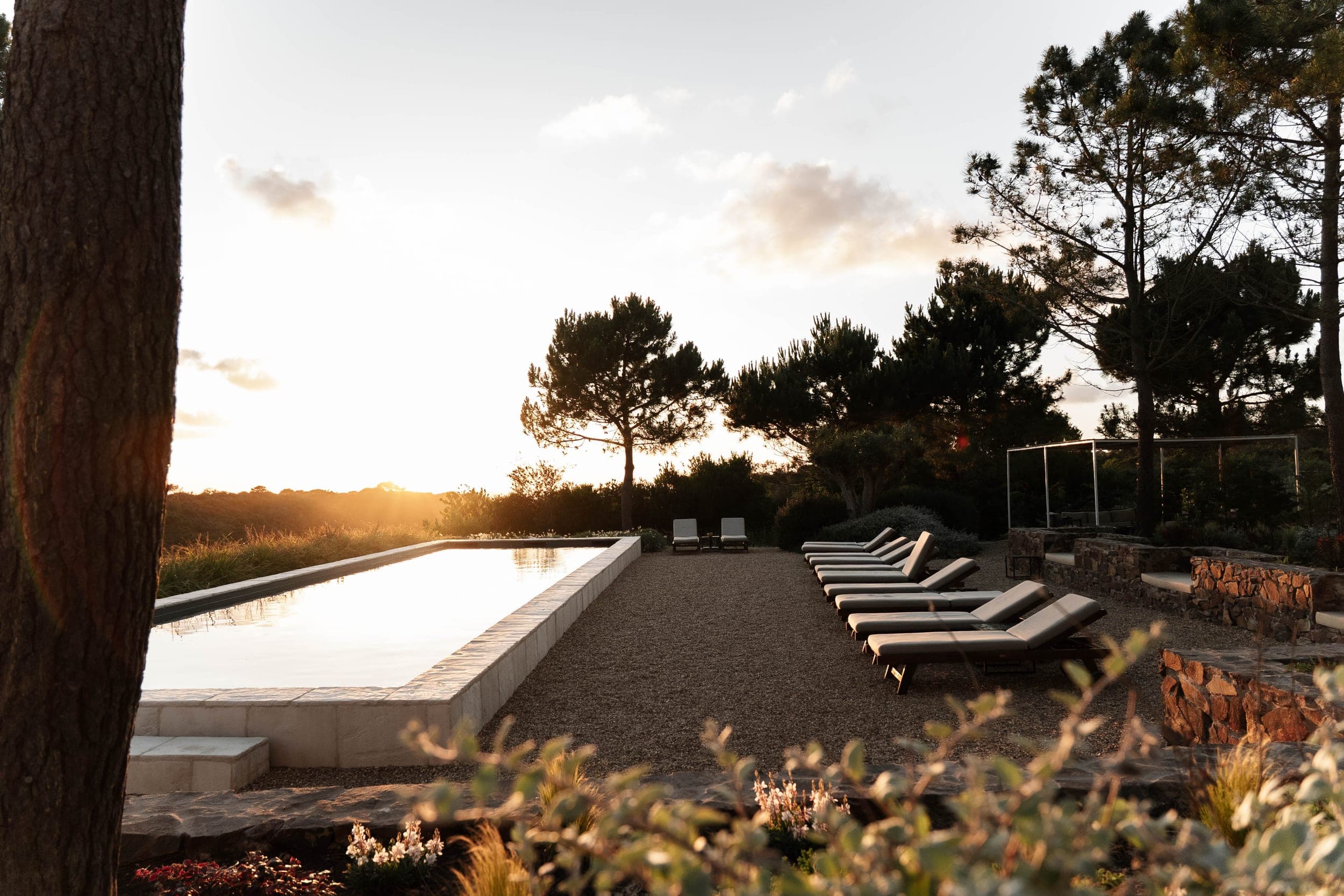 Lap pool and row of sun loungers among pines at sunset beside a stone wall