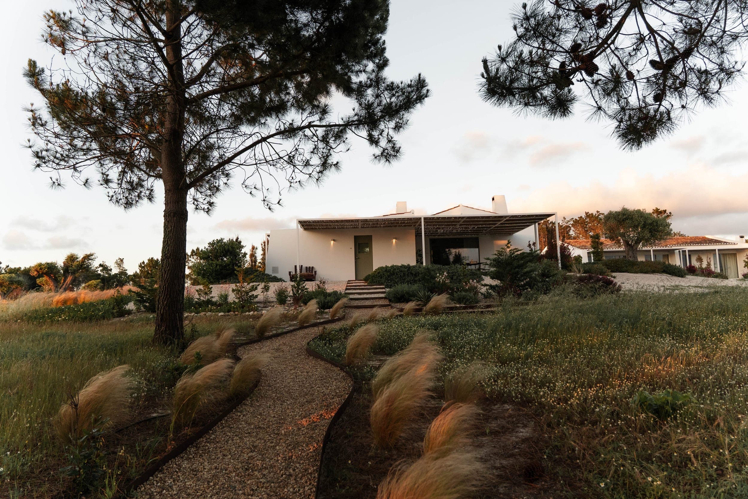 White pergola villa at dusk behind a winding gravel path through feathery grasses