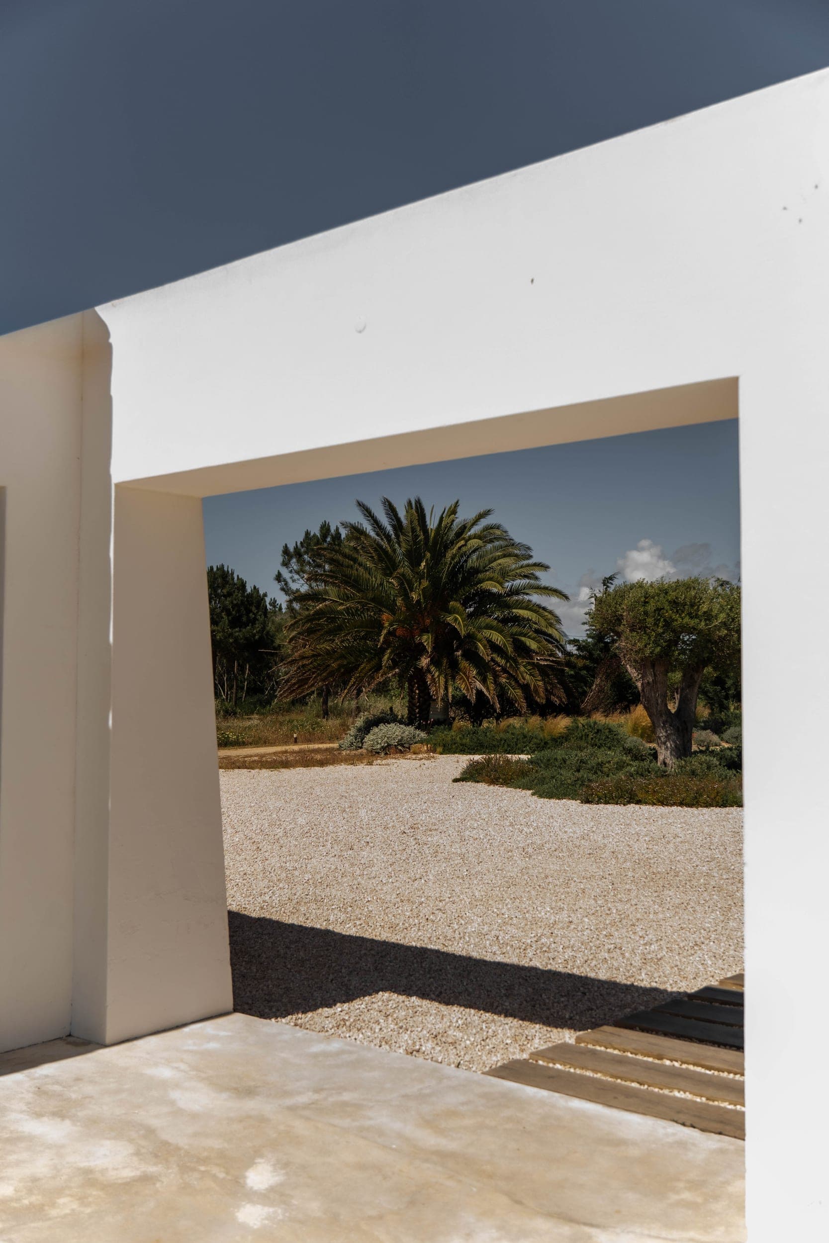 View through a white wall opening onto a palm tree and gravel garden under blue sky