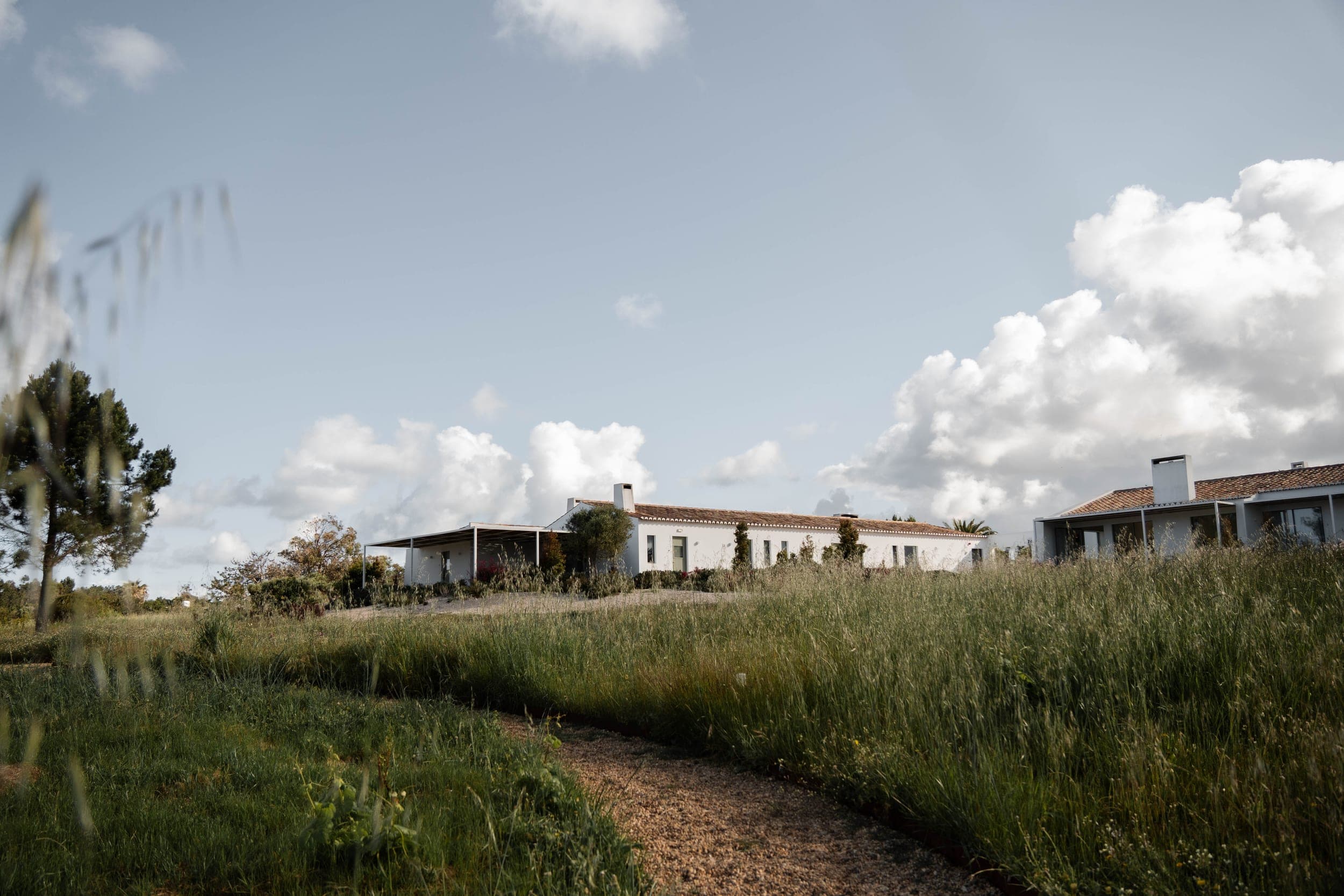 Whitewashed Alentejo farmhouse retreat with tiled roof beyond a gravel path through tall grass