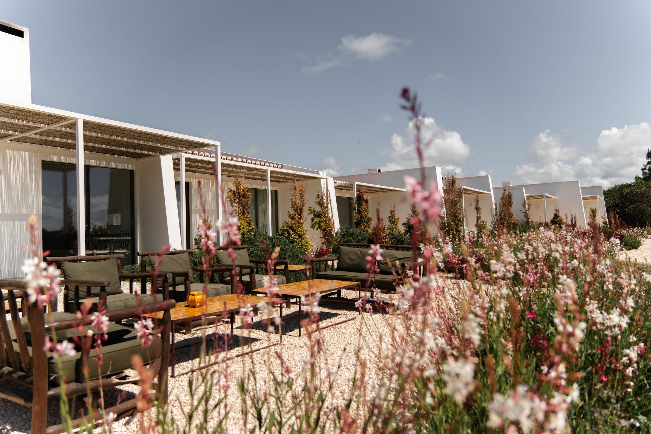 Row of white villas with pergolas seen across pink and white wildflowers