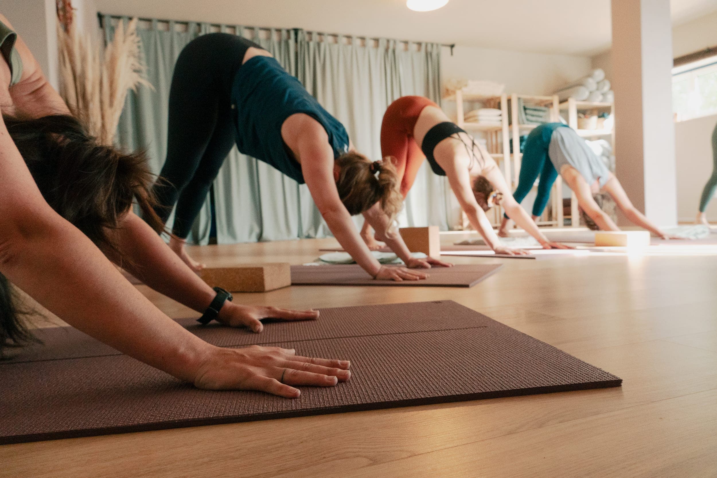 Row of women in downward dog pose on mats in a warm curtained yoga studio